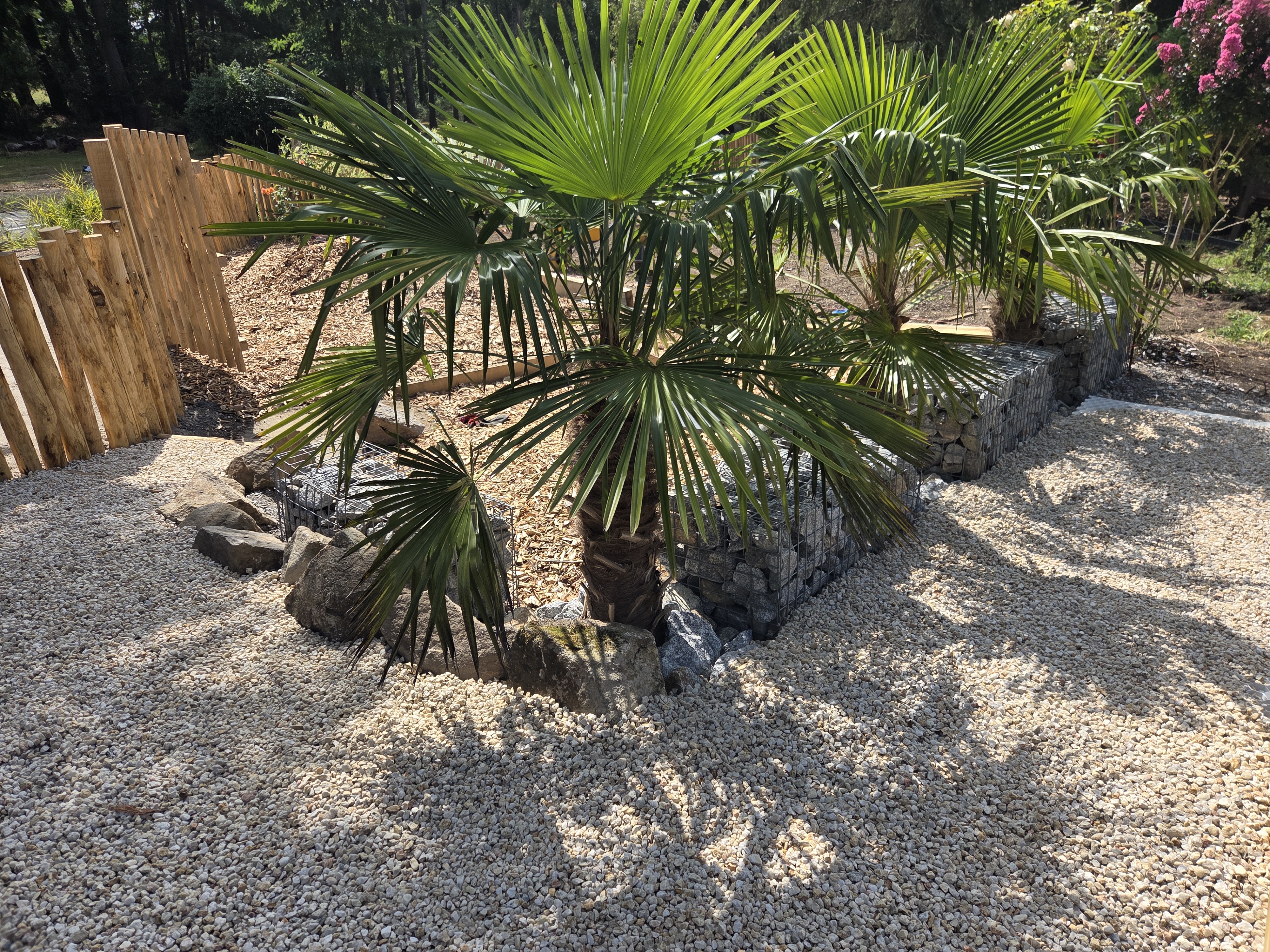 amenagement jardin aizenay