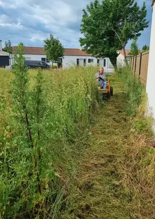 aménagement jardin La Roche-sur-Yon-1