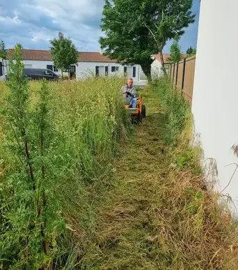 aménagement jardin à Saint-Gilles-Croix-de-Vie - image 3