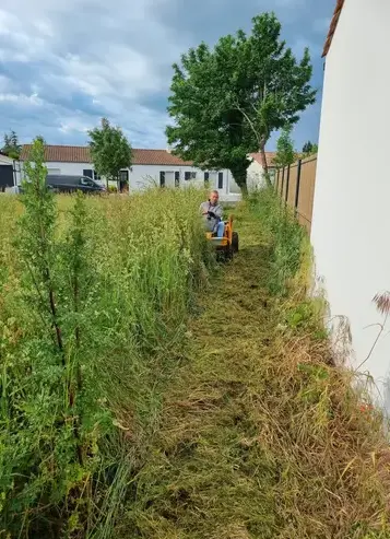 aménagement jardin à Saint-Hilaire-de-Riez - image 3