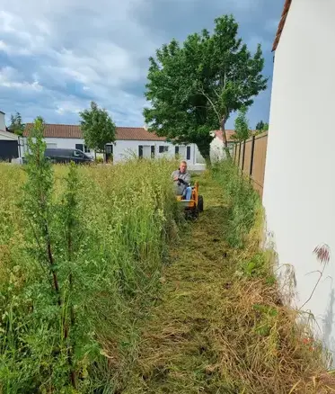 élagueur à Aizenay - image 3