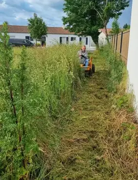 élagueur à Challans - image 3