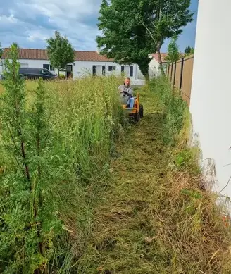 élagueur à Le Poiré-sur-Vie - image 2