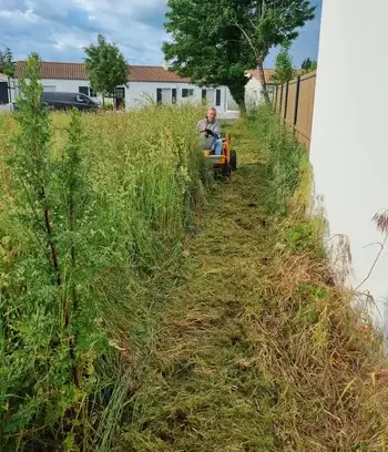 élagueur Saint-Gilles-Croix-de-Vie-5