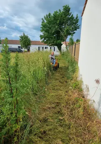 élagueur à Saint-Hilaire-de-Riez - image 4