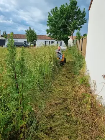 élagueur à Saint-Jean-de-Monts - image 3