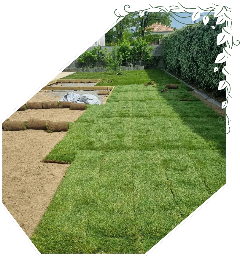 entreprise de terrassement bretignolles sur mer