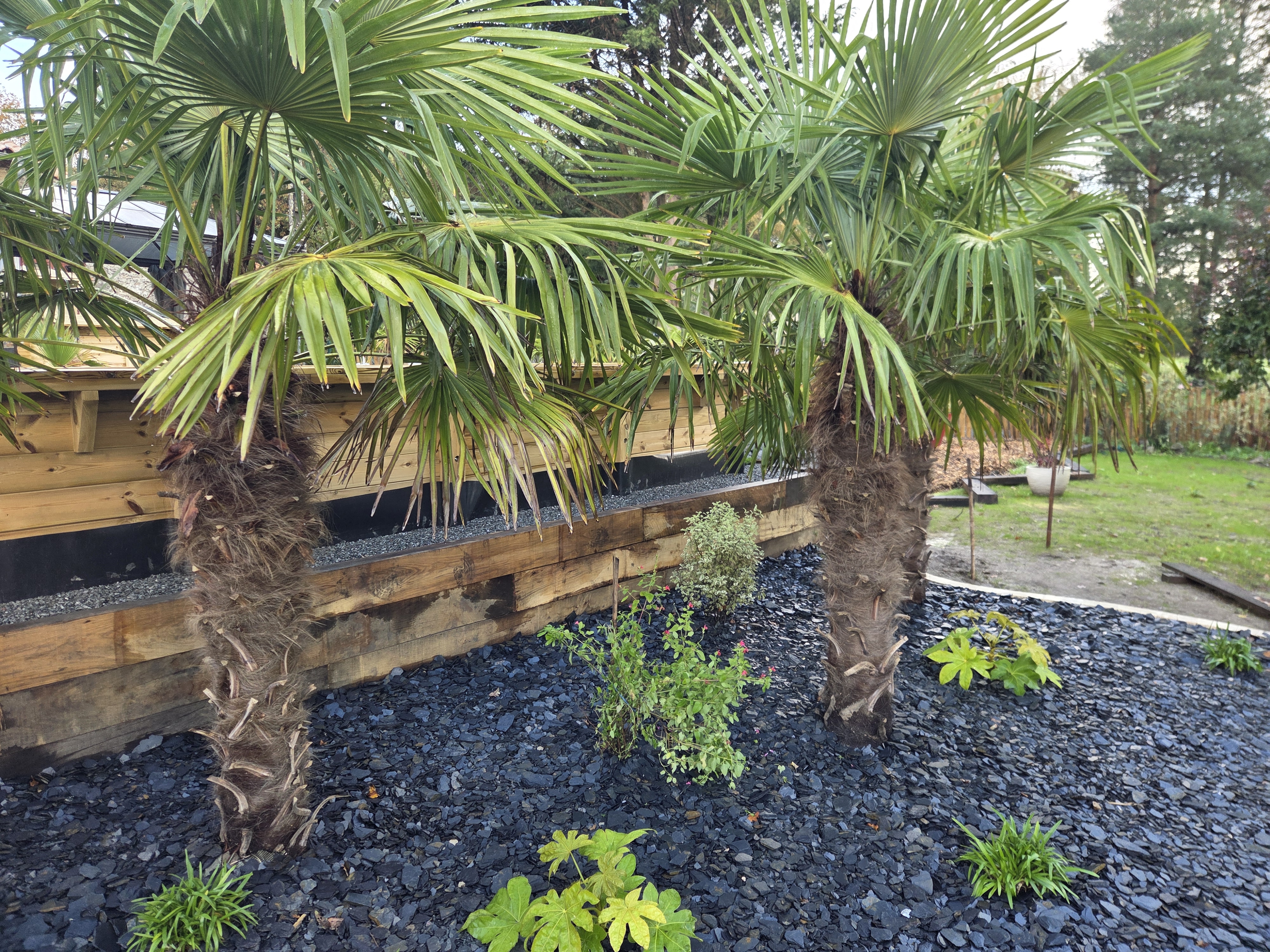 entreprise de terrassement bretignolles sur mer