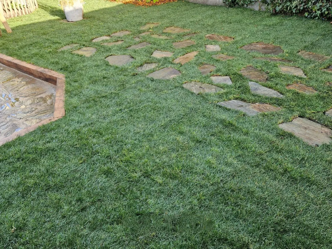 after-image