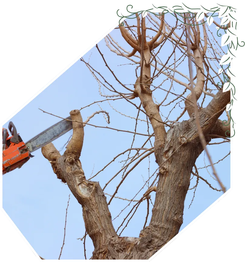 entreprise de terrassement les achards