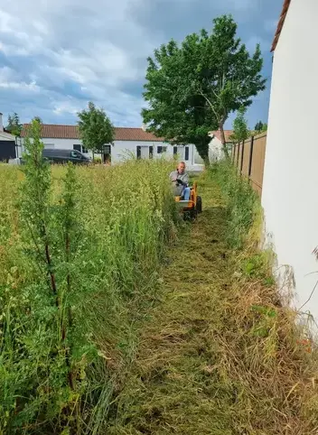 entretien des espaces verts à Challans - image 3