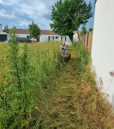 jardinier à Aizenay - image 4