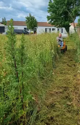 jardinier La Roche-sur-Yon-5