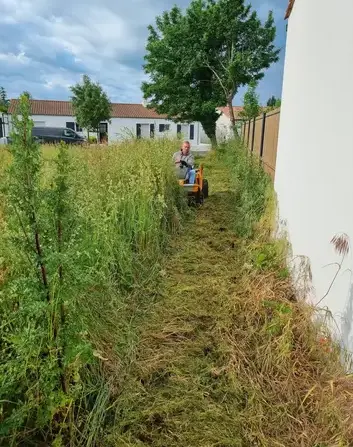 jardinier à Saint-Gilles-Croix-de-Vie - image 3